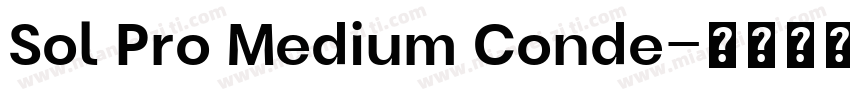 Sol Pro Medium Conde字体转换